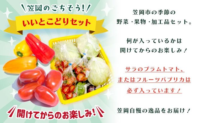 サラ商品とふるさとフレッシュ便 旬野菜セット 野菜 果物 プラムトマト パプリカ 《30日以内に出荷予定(土日祝を除く)》 笠岡アグリセンター 野菜 岡山県 笠岡市---H-60---