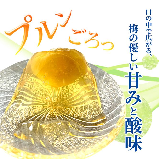 大河原の梅と清水のゼリー うめ果りり 10個入り 10,000円台おすすめ返礼品 お菓子 スイーツ 和スイーツ 梅の風味 梅ゼリー おやつ 食後 ひんやりスイーツ 涼 夏 さっぱり やさしい甘味 酸味 