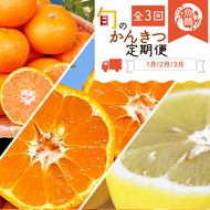 〈定期便〉【1・2・3月 全3回】紀州和歌山産旬のフルーツセット(みかん・不知火・レモン)