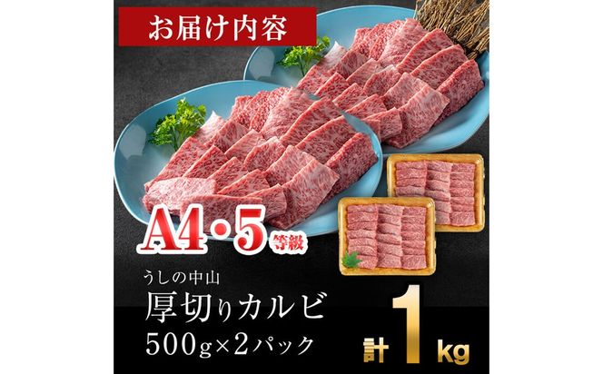 ＜A4・A5等級＞鹿児島県産黒毛和牛 うしの中山 焼き肉用厚切りカルビ 計1kg(500g×2P) c4-016