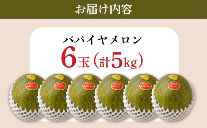 パパイヤメロン 6玉 （ 約 5kg ） / メロン めろん パパイヤメロン 果物 フルーツ / 南島原市/ 小田メロン園[SGX001]