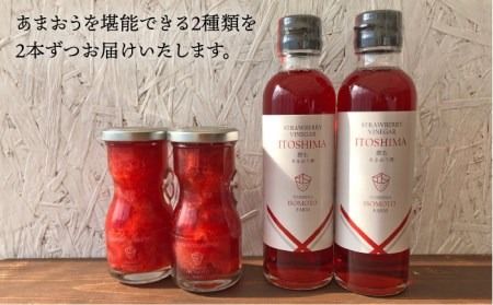 あまおう コンポート ・ 飲む あまおう酢 各2本 セット《 糸島 》【TANNAL 磯本農園】いちご イチゴ 苺 [ATB015]