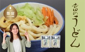 DX025　吉田のうどん　3人前平袋 ×2パック(3人前×2パック）