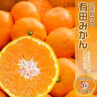 EA6029n_【2026年先行予約】濃厚な味わいのこだわり 有田みかん 5kg (早生みかん・大小混合)