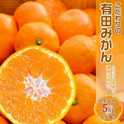 EA6029n_【2026年先行予約】濃厚な味わいのこだわり 有田みかん 5kg (早生みかん・大小混合)