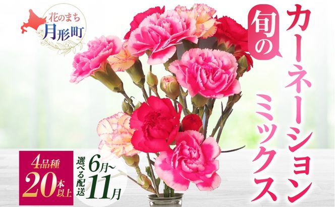 ＜選べる配送月＞ 北海道 カーネーション ミックス 4品種 20本以上 花 花束 切花 ブーケ 旬 季節 詰め合わせ 生花 フラワー アレンジメント 産地直送 