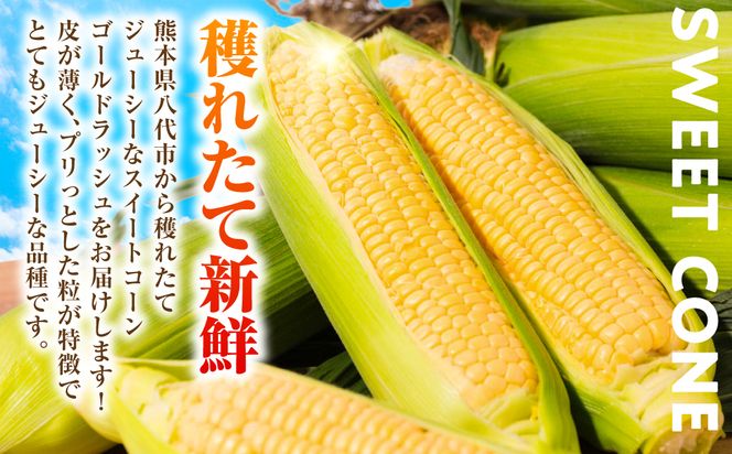【先行予約】プリッとジューシー！ 熊本県 八代市産 スイートコーン ゴールドラッシュ 約4.5kg (13～16本) とうもろこし トウモロコシ コーン 甘い 朝採り 高糖度 BBQ  熊本県 八代市 【2026年6月上旬より順次発送】