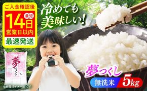 【令和7年度産】無洗米 夢つくし 5kg 精米 有限会社ファインリョーコク/築上町[ABCO033]