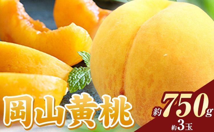 桃[2025年先行予約]桃 岡山の桃 黄桃 約750g[2025年6月下旬-9月上旬頃出荷] ご家庭用 訳あり 岡山 旬 モモ もも 先行予約 送料無料 果物 岡山県 笠岡市 クール便---kasaoka_zsy_39_075---