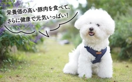 【糸島特産品使用】 無添加 そのまま 糸島華豚 3袋 糸島市 / 株式会社コバヤシ【coco.kina】 犬 おやつ ドッグフード ジャーキー [ASL007] 無添加 ドッグフード おやつ ビーフジャーキー 犬 ペット