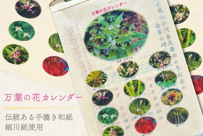 yʌ쒬zt̉ԃJ_[iא쎆j VNx ߘa8N [NPO@lƖt̉ ʌ 쒬 045] J_[ ߘa 荗a ` ʌ