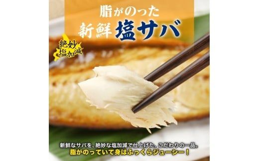 紅鮭切り身 3枚 塩サバフィレ 2枚 セット 紅鮭 鮭 サーモン さば 塩サバ フィレ フィーレ 鮮やか 赤色 身が厚い 濃厚 旨み 上品 脂 あっさり 甘塩 新鮮 絶妙 塩加減 脂の旨味 個包装 真空 冷凍 天然 海鮮 おかず お中元 お歳暮 弘成 北海道 函館市_HD214-009