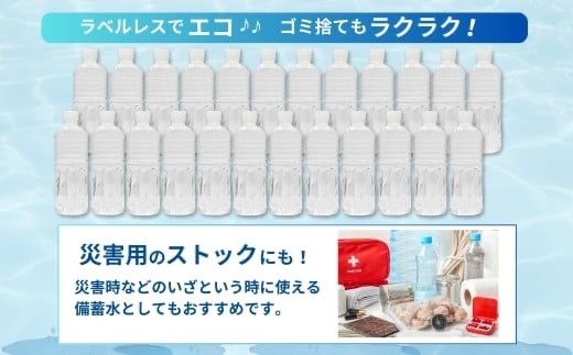 【定期便・全12回】ラベルのない細野の天然水 555ml×24本×12回 計288本（国産 ナチュラルウォーター ミネラルウォーター 天然水 水 555ml 定期便 1年 中硬水 シリカ ラベルレス 美容 人気 霧島 宮崎 小林市 送料無料 長期保存）