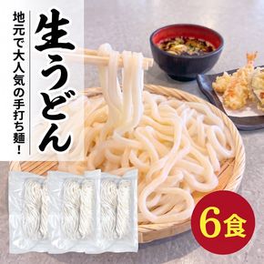 手打ちうどん 6食(2食×3袋) うどん 麺 麺類 めん 冷凍 手打ち麺 職人 スープ 小分け ウドン 簡単 簡単調理 生麺 なま麺 小麦 小麦粉 製麺 もちもち つるつる 三陸 岩手県 大船渡市