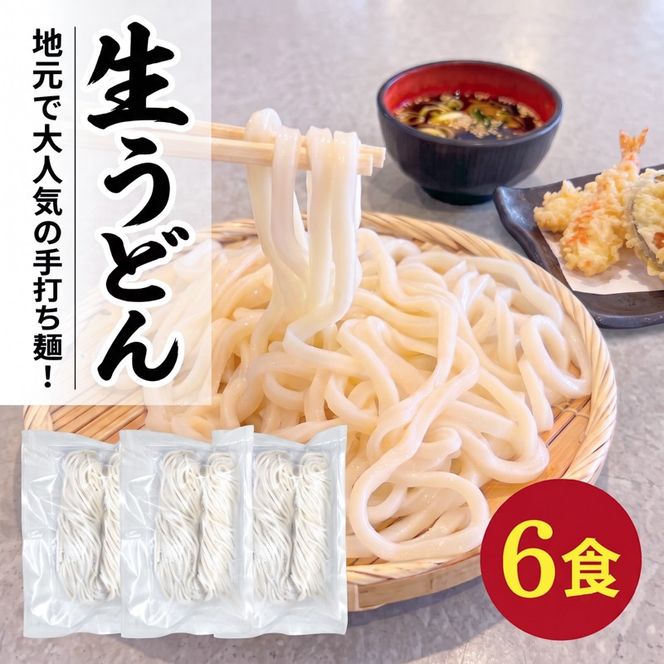 手打ちうどん 6食(2食×3袋) うどん 麺 麺類 めん 冷凍 手打ち麺 職人 スープ 小分け ウドン 簡単 簡単調理 生麺 なま麺 小麦 小麦粉 製麺 もちもち つるつる 三陸 岩手県 大船渡市