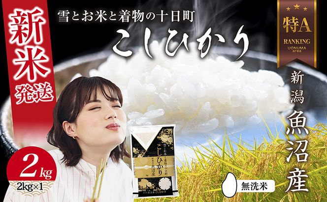 【令和8年産 新米】 無洗米 新潟県 魚沼産 コシヒカリ お米 2kg 精米済み お米 こめ 白米  こしひかり 送料無料 魚沼 十日町