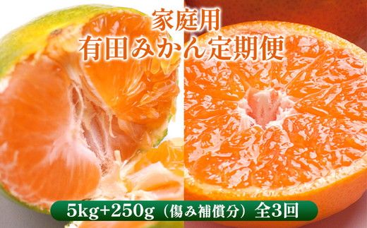 〈定期便〉【10・11・12月 全3回】家庭用 有田みかん定期便 5kg+250g（傷み補償分）※北海道・沖縄・離島への配送不可