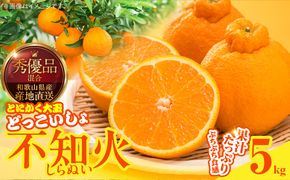 MK1011_不知火 (しらぬい) とにかく大玉 どっこいしょ 箱込 5kg (内容量約4.4kg) 秀品 優品 混合
