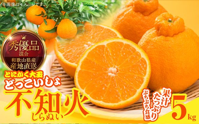 MK1011_不知火 (しらぬい) とにかく大玉 どっこいしょ 箱込 5kg (内容量約4.4kg) 秀品 優品 混合