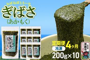 【定期便4ヶ月】ぎばさ(あかもく) 200g×10個セット 海藻 男鹿市 秋田県 [ぎばさ あかもく 海藻 磯の香り 強い粘り フコイダン フコキサンチン 高栄養価 食物繊維 シャキシャキ食感 秋田県 男鹿市]|23_ogn-241004