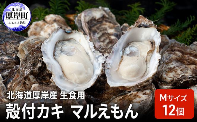 北海道厚岸産 生食用 殻付カキ Mサイズ  12個　マルえもん 魚貝類 海の幸 海のミルク 海鮮 国産 北海道産 オイスター つまみ お酒 あて 肴 生牡蠣 メルマガ掲載商品1