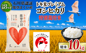 令和8年産 先行予約 新米予約 石川県産 コシヒカリ トキ米 精米 単品 10kg ( 5kg × 2袋 ) 特別栽培米