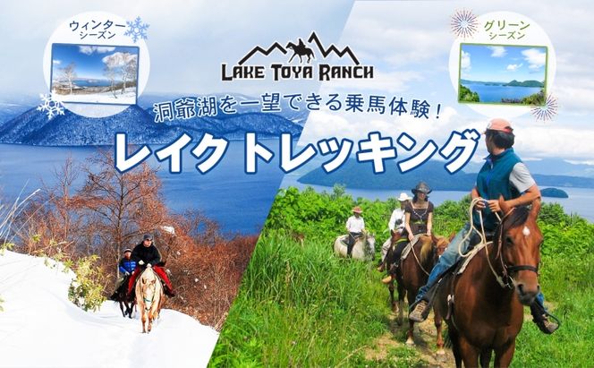 北海道 レイクトレッキング＆Winterレイクトレッキング 約40分 乗馬 体験 ホース トレッキング 絶景 自然 貴重 体験 経験 景色 ふれあい 血統馬 初心者 本格的 のんびり お子様 大人 レイクトーヤランチ 洞爺湖 