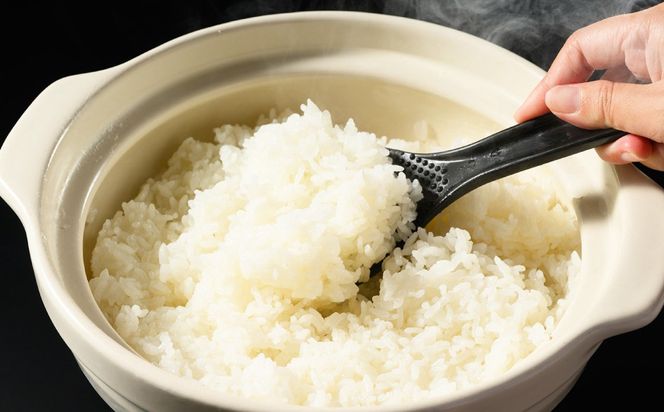 【先行予約】【令和8年産】茨城県産にじのきらめき 5kg ※2026年10月～発送 | 米 お米 おこめ コメ 白米 精米 ご飯 ごはん にじのきらめき 茨城県 守谷市