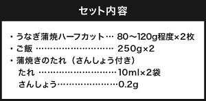 【ふるさと納税】【訳あり】地元産の美味しいお米で炊いたご飯付、見習い職人のうなぎ蒲焼丼 2人前セット レンチン 数量限定 うなぎ ウナギ 鰻 蒲焼き 蒲焼 うな丼 鰻丼 丼ぶり 丼 丼もの ご飯 ごはん 惣菜 冷凍 兵庫県 新温泉町 送料無料