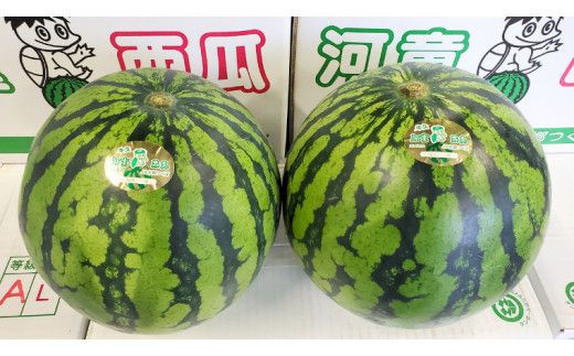 《 先行予約 》 牛久市産 河童 西瓜 L 2玉 ( 約 12kg ) 【 2026年6月中旬発送開始 】 果物 フルーツ Lサイズ スイカ すいか 期間限定 旬 国産 アイス シャーベット [DV008us]