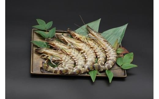 yRRszD413 yHYԊCVgpz{iJWZE@5