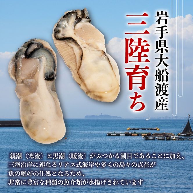 訳あり 牡蠣 むき身 加熱用 700g 冷凍 かき 牡蠣 カキ オイスター oyster アヒージョ バーベキュー BBQ フライ 揚げ物 鍋 ごはん 夕飯 おかず おつまみ 晩酌 米 丼 海産物 海鮮 魚介 魚介類 贈答品 お中元 お歳暮 大船渡 三陸 岩手県 国産 [kouyou012]
