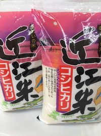 【7年産】近江米こしひかり【10kg（5kg×2袋）】【T020W3】