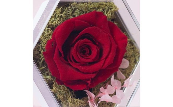 フラワーアレンジメント プリザーブドフラワーアレンジメント「ダーククリムゾン」 インテリア 手づくり  プリザーブドフラワー プレゼント 玄関 ベッドサイド 食卓  墨田区 東京都