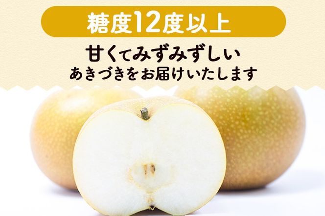梨 数量限定 利府梨（あきづき）約5kg（10玉前後）先行受付 [先行予約 ブランド フルーツ 人気 有機肥料のみ 果物 美味 おいしい 宮城県 利府町 高橋梨園]|06_tne-010501