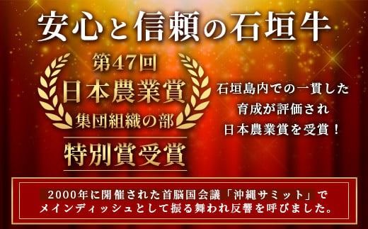 石垣牛100％ ハンバーグ　(100ｇ×15個)｜国産 石垣牛100% 高級 黒毛和牛 ビーフ ハンバーグ詰め合わせ ID-2