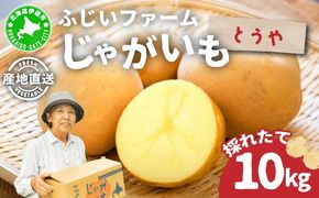 ＜先行予約＞北海道産 じゃがいも(とうや) 約10kg | ジャガイモ 馬鈴薯 ポテト 芋 イモ 国産 野菜 人気 ふじいファーム
