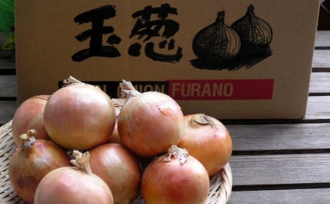 2026年秋冬発送】北海道富良野産 たまねぎ 約10kg (Lサイズ前後) 野菜