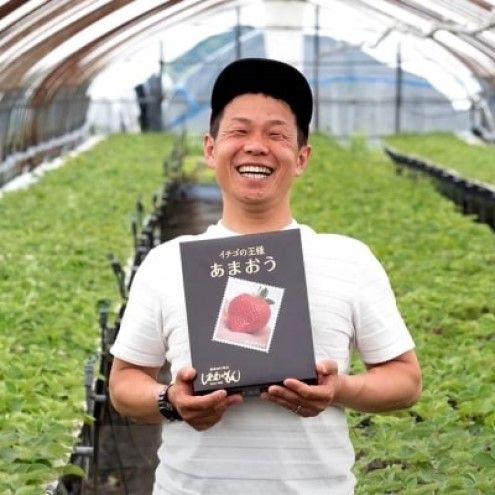 いちご 2月配送 しあわせもん あまおう 化粧箱 2箱 いちご職人 白木のいちご イチゴ 苺 果物 デザート ※配送不可：沖縄・離島