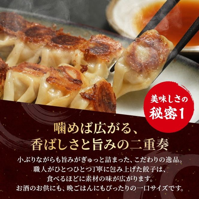 大刀洗 一口餃子 100個 特製たれ セット【ふるさと納税限定】 餃子
