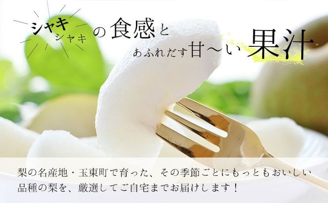 フルーツ 定期便 旬の梨 3kg 西南のひかり 5kg 2回定期便 さかもと果樹園《梨：8月中旬-10月上旬頃出荷 みかん：12月中旬-12月末頃出荷》熊本県 玉東町 梨 みかん 柑橘 果物 旬 秋 冬 先行予約 産地直送 デザート 秋冬 詰め合わせ---gkt_skm_7_8kg_2kh---