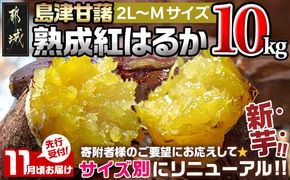 先行受付!【11月お届け】島津甘藷　熟成紅はるか 10kg(2L～M)_12-A7-001-10kg-11