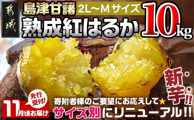 先行受付!【11月お届け】島津甘藷　熟成紅はるか 10kg(2L～M)_12-A7-001-10kg-11