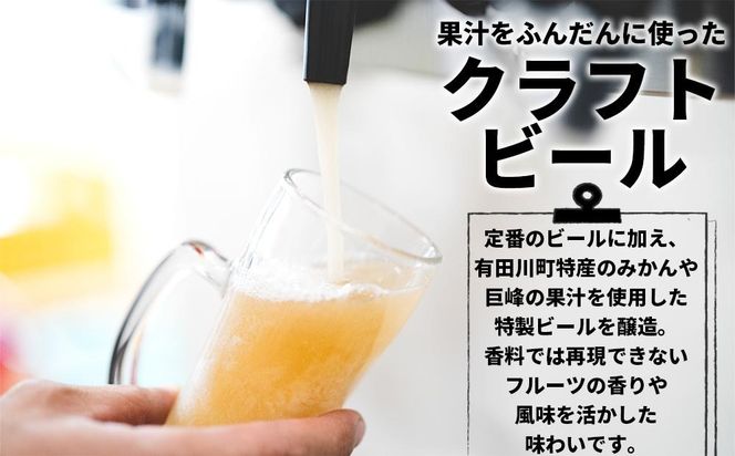 和歌山の地ビールブルーウッドブリュワリー飲み比べ6本セット BY03