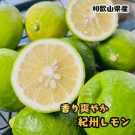 農家直送 紀州 レモン 約3kg［MS122］ 303446_XD90103