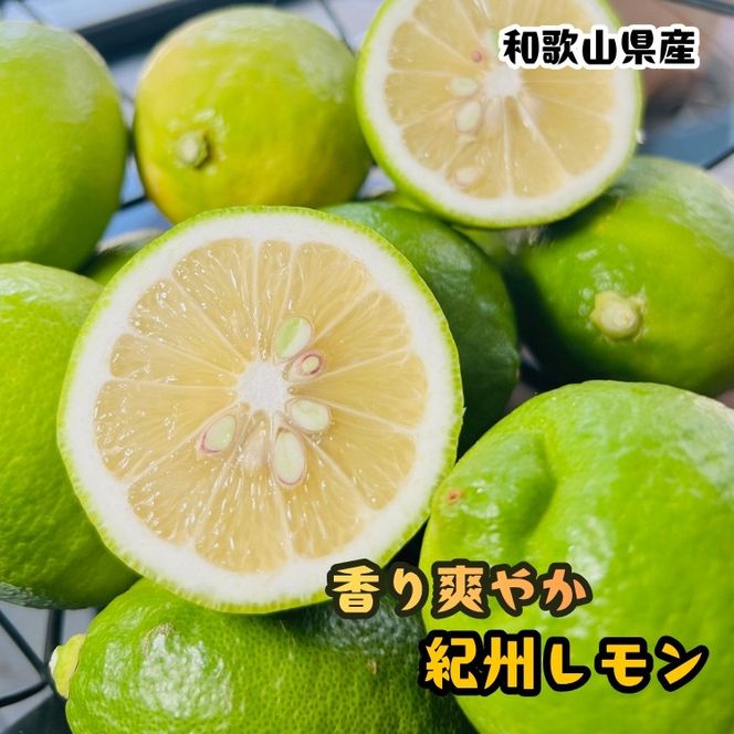 農家直送 紀州 レモン 約3kg［MS122］ 303446_XD90103