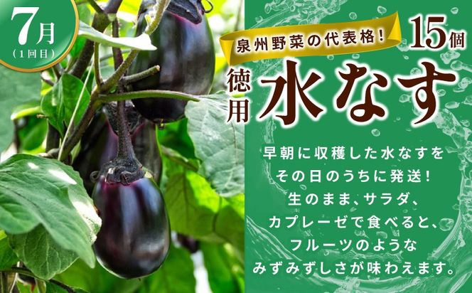 099Z563 【定期便】泉州TONOファームが贈る定期便 野菜とフルーツの旬の味リレー【7月～10月発送 水ナス トウモロコシ 枝豆 いちじく 茄子 とうもろこし 豆 イチジク なす 新鮮 泉州 やさい フルーツ】