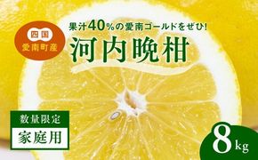 【先行予約】【家庭用】河内晩柑8kg ｜ 河内晩柑 訳あり 正品 贈答 柑橘 みかん 愛南ゴールド サイズミックス 規格外 ※離島への配送不可 ※2025年5月上旬～6月下旬頃に順次発送予定