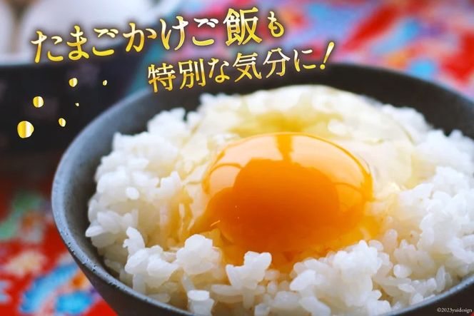 【CF03】米 宮城県産 ひとめぼれ 10kg (5kg×2袋) [気仙沼米穀商業協同組合 宮城県 気仙沼市 20565511] 一等米 ブランド米 白米 精米 ご飯 ごはん コメ こめ お米 小分け 家庭用