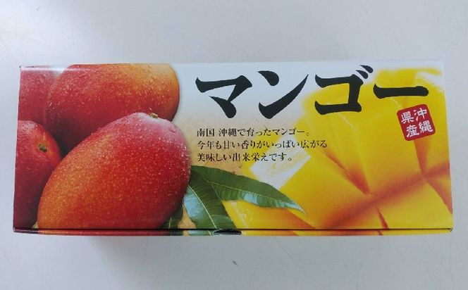 【2026年発送】大宜味村産 アーウィン種マンゴー　優品1キロ以上 フルーツ 果物 くだもの 果実 沖縄 大宜味村 食べ物 国産 優品 九州産 産地直送 ギフト プレゼント トロピカル 送料無料 甘味 スイーツ お取り寄せ デザート マンゴー